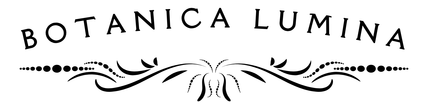 bl logo black on transparent